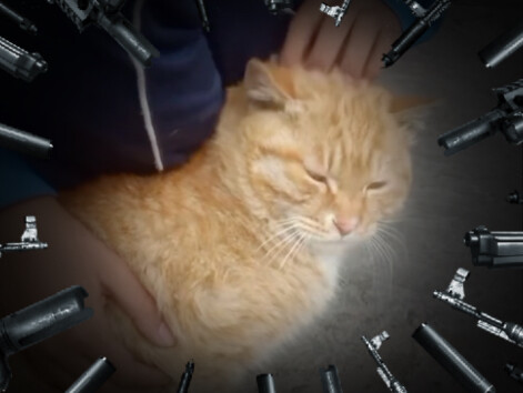 Kucing: Akun QQ saya kena hack!