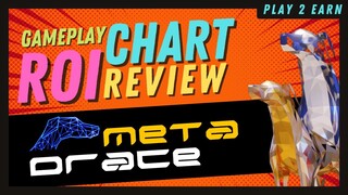 METADRACE - ROI Review
