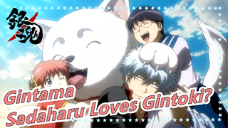 [Gintama] How Much Sadaharu "Loves" Gintoki