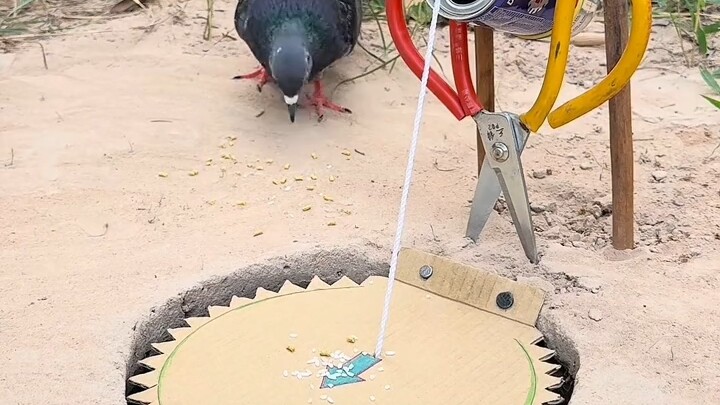 [World Curiosities Commentary] My latest work—come check it out!