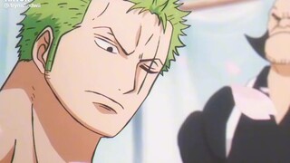 Zoro's absssss