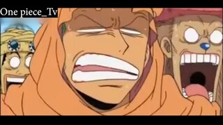 Não phẳng Luffy liên lụy đồng đội #Onepiece