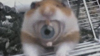 这就是克苏鲁