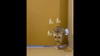 ไม่รู้ว่าฝนตกที่บ้านใคร แต่หัวใจอ่ะตกที่บ้านเธอ
