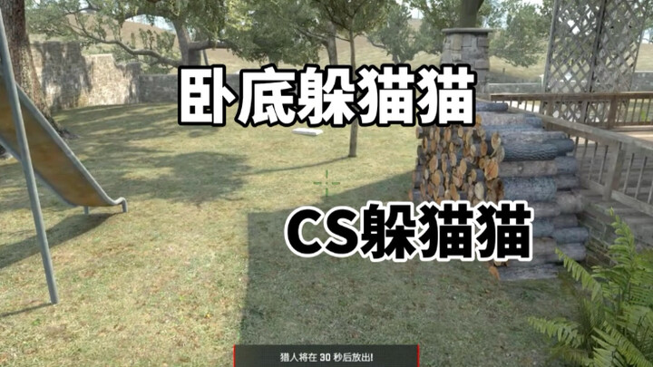 CS2 Hide and Seek: Oh no, I've been exposed as an undercover agent!