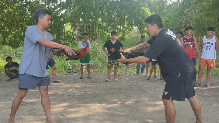 STREET FIGHT SERYE BAKLA LOSS DEC. 31, 2025!!!