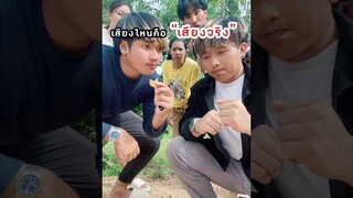 เลียนแบบเสียง “อันไหนเสียงจริง”🔊⁉️ #challenge #ฝากติดตาม #มิสเตอร์แมน #funny #funnyvideo #haha