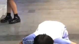 Every time a roadside treasure chest is discovered, a dog loses its composure.