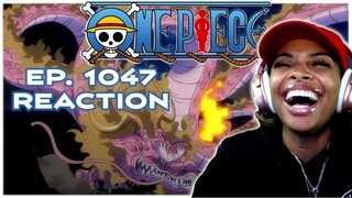 MOMO'S DRAGON FORM REVEAL!! | ONE PIECE EPISODE 1047 REACTION