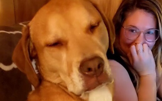 狗狗想陪主人，但又忍不住要睡觉的样子太可爱了