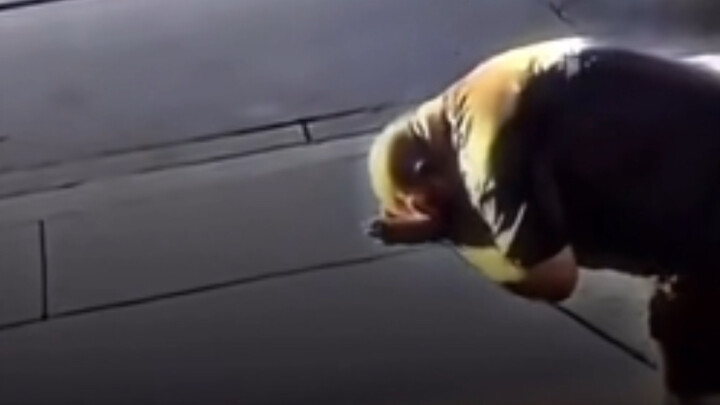 Sigma đã trở thành nghệ thuật