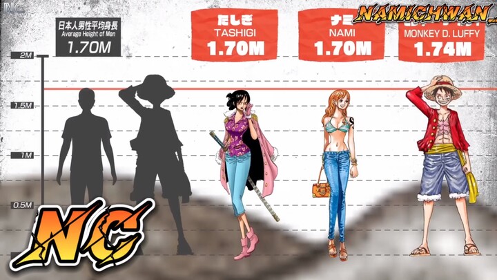 Ringkasan Perbandingan Tinggi ONE PIECE