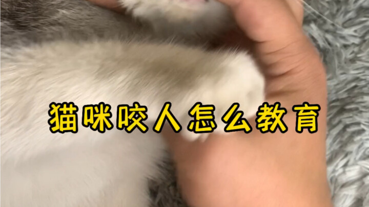 How to Train a Cat That Bites?