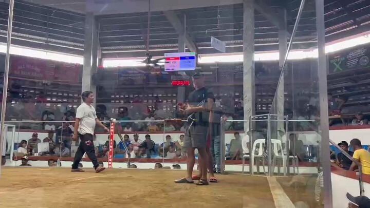 GOLDEN BOY SWEATER 1ST FIGHT @ NCA (2 HITS ULUTAN)