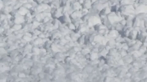 A snow hare dashes through an avalanche… maybe just for the thrill? Who knows?