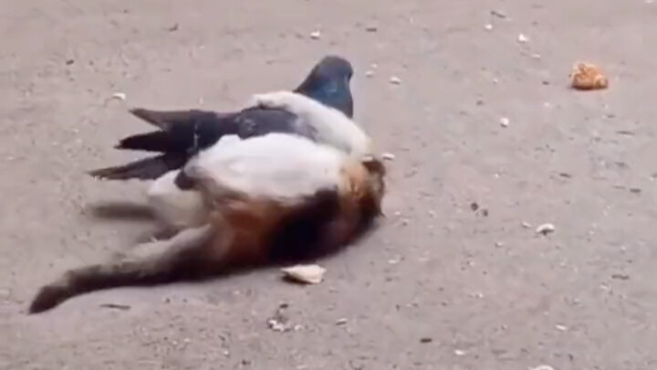 Friends on the Street