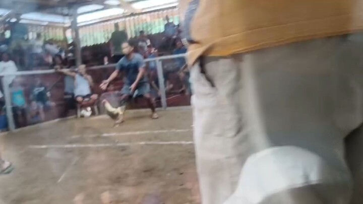 2x derby winner #dirtydome #garcesline