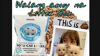 EMILY PETS Wood Cat Litter Review / How to use