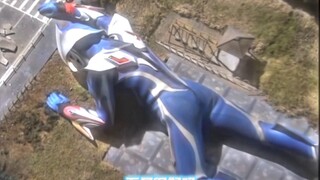 青涩的果实