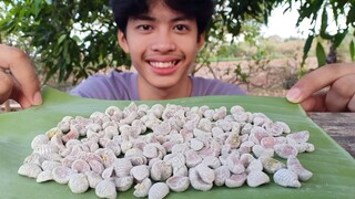 กินไข่จักจั่น ครั้งแรกในชีวิต ถึงกับ...?