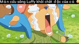 Luffy được cứu#anine#daohaitac#tt#edit