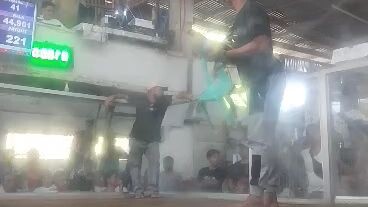j5g borlóloy