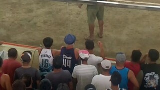 panalo na