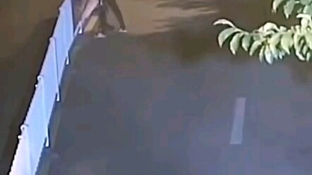 Two men went on a drunken rampage at night, vandalizing the middle of the road and were subsequently