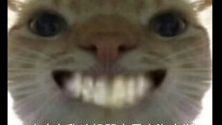 我宣布这是斗魂大乱斗机器人最爽的海克斯