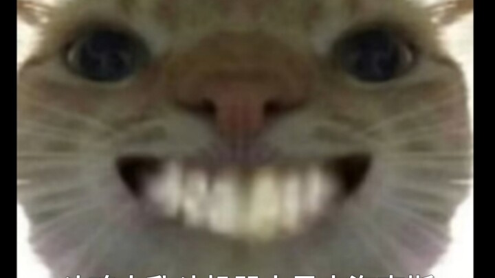 أعلنُ أنَّ هذا هو أكثر هاكس يوفر متعةً غامرةً في روبوتات دو هون دا لان دو!