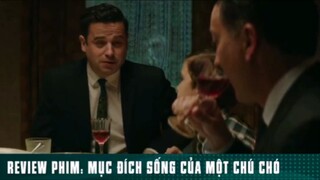 REVIEW PHIM: “ MỤC ĐÍCH SỐNG CỦA MỘT CHÚ CHÓ “ ( Phần 3 ) #reviewphimhaynhat