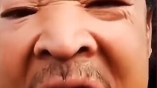 Those cat meme original sound source (1~5)