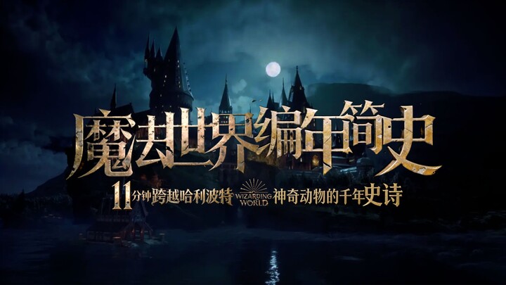 11-Minute “Harry Potter x Fantastic Beasts” Millennium Epic! A Brief Chronological History of the Wi