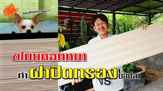 DIYฝาปิดกรองบ่อปลา จากคอกน้องหมา ประหยัดสวยถูก l คุณพ่อคราฟ