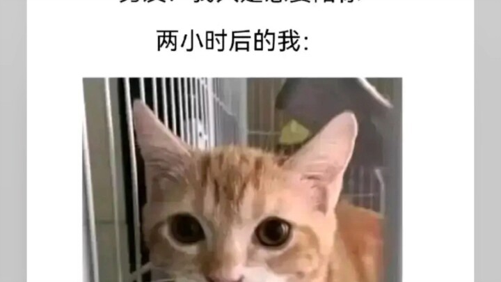 ดื่มชายามบ่าย
