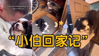 พากำลังใจตัวน้อยกลับบ้านแล้ว