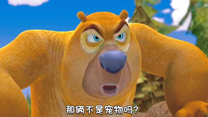 มีใครช่วยนับให้หน่อยได้ไหม ว่าหมีเอ้อร์โดนตบคางไปกี่ครั้ง?