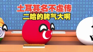 国中土耳其狗中哈士奇果然名不虚传【波兰球】