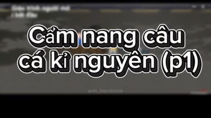 video kỹ nguyên câu cá