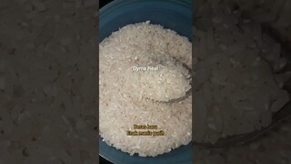 DYMA |ASMR RAW RICE EATING |Makan Beras | asmrrawriceeating| #asmrsounds  #asmr #shorts #mukbang(1)