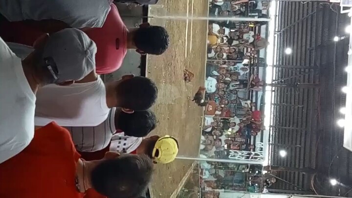 anak ni genitics alimbuyogin.. gold.. small time vs big time 👍👍