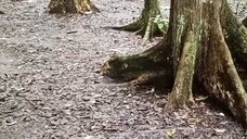 Money hunt episode 4