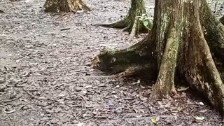 Money hunt episode 4