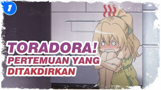 [Toradora!] Pertemuan Yang Ditakdirkan, Sejak Saat Itu Kami Saling Mencintai Selamanya_1