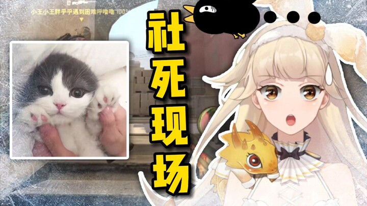 Jiu Caihezi faces off against Jibao in an epic cringe-worthy chat!