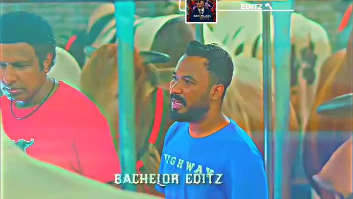 মাইনষে ধরাইলে গরুও ধরাইবো 😏🥶😎#fypシ゚viral🖤tiktok☆♡🦋myvideo #bachelorpoint #onfire🔥🤘🤟 #viral_v