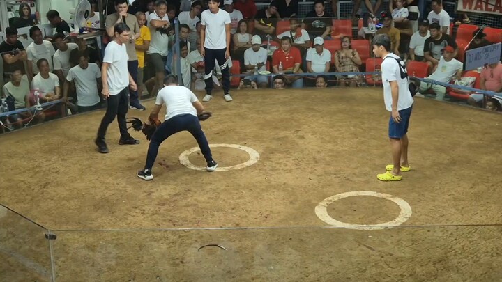 Hiraw signature line Win 5stag big event bustos cockpit vs dynamic 888