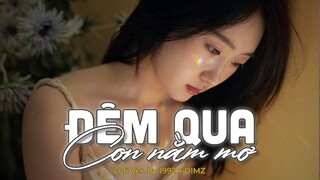 Đêm Qua Con Nằm Mơ (Lofi Ver.) - DIMZ x 1992 | Lyric Video