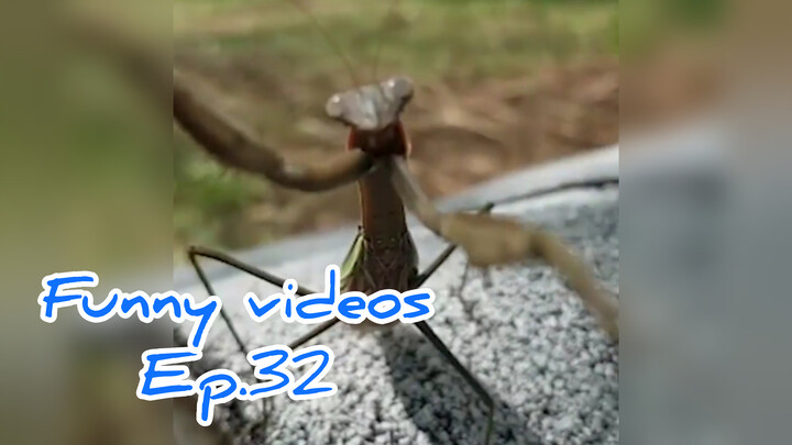 Funny videosEp.32