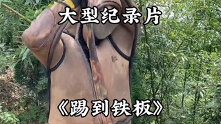大型纪录片《踢到铁板传奇》持续为您播出